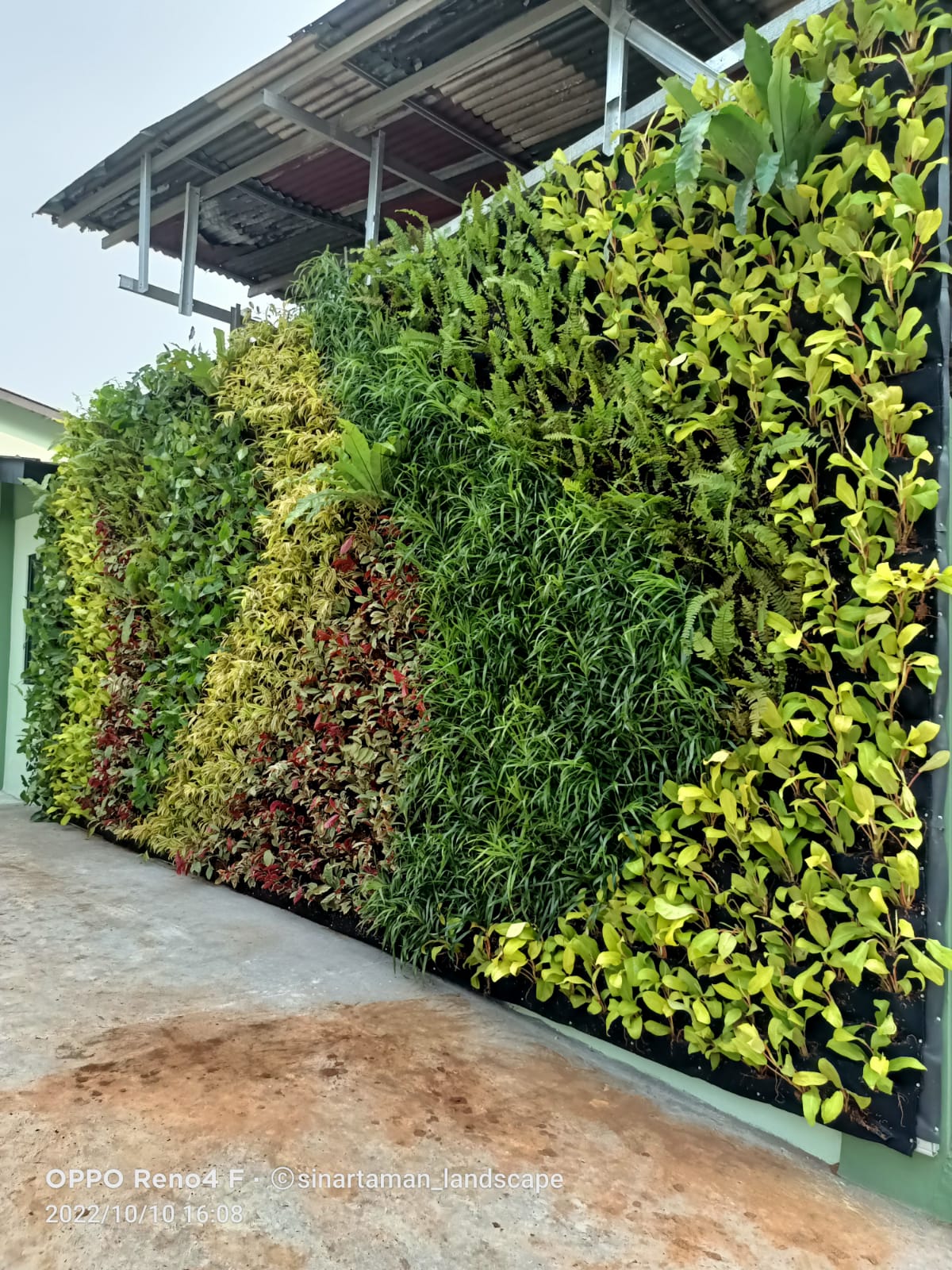 jasa vertical garden bsd