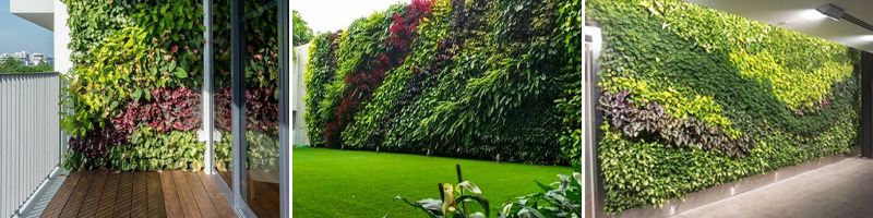 Jasa vertical garden jakarta