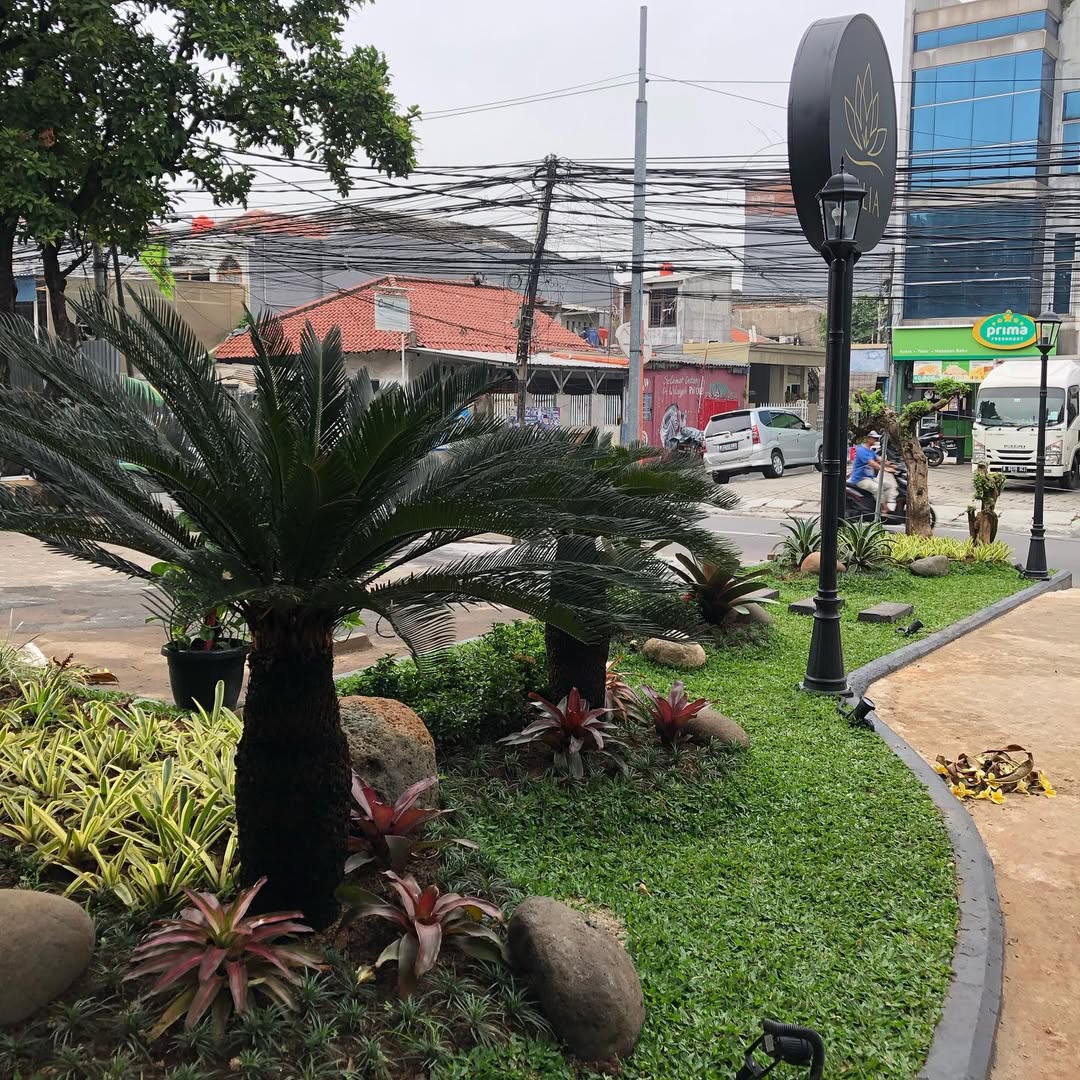 cara merawat taman dan tanaman yang benar