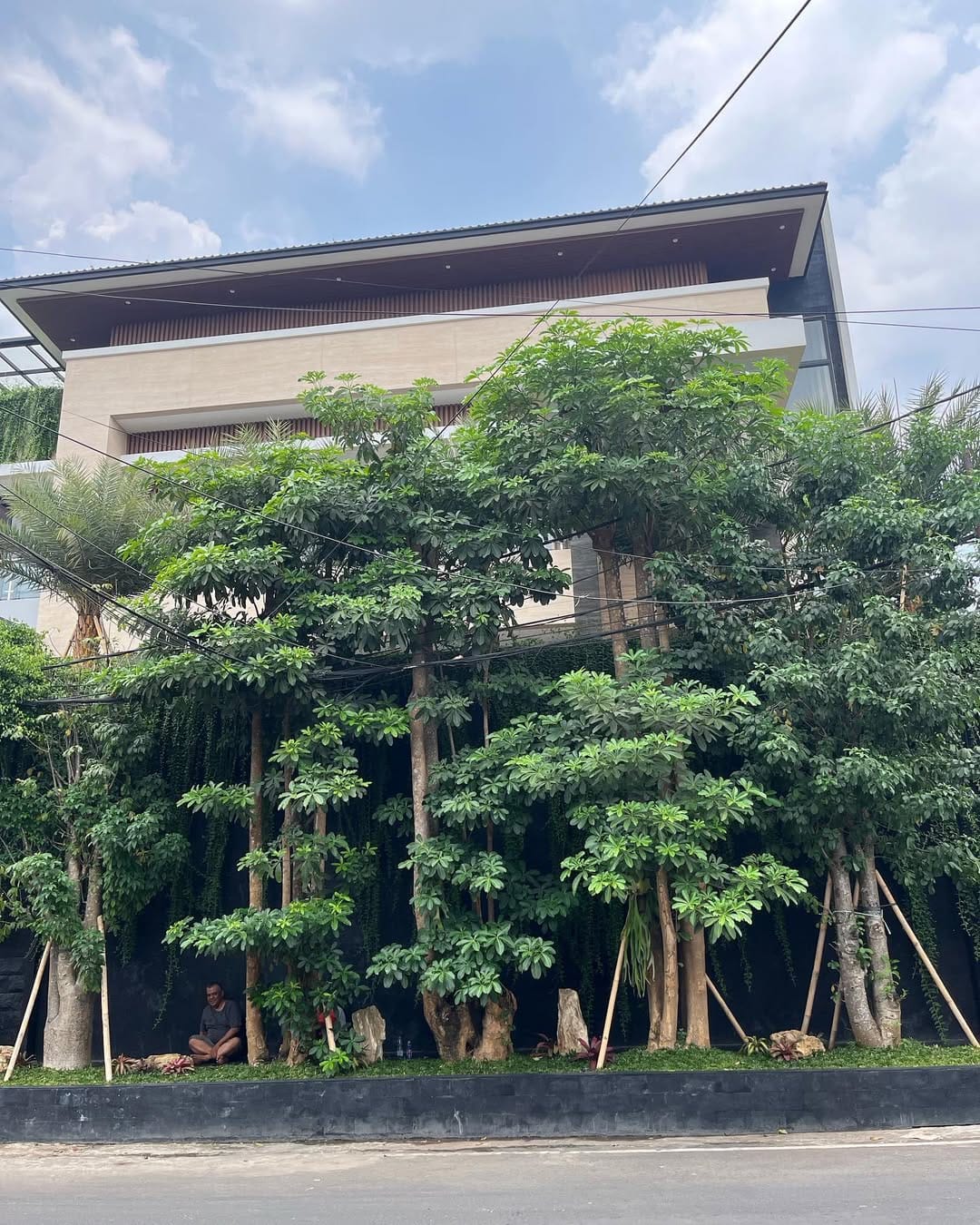tukang taman di cilandak murah & bergaransi