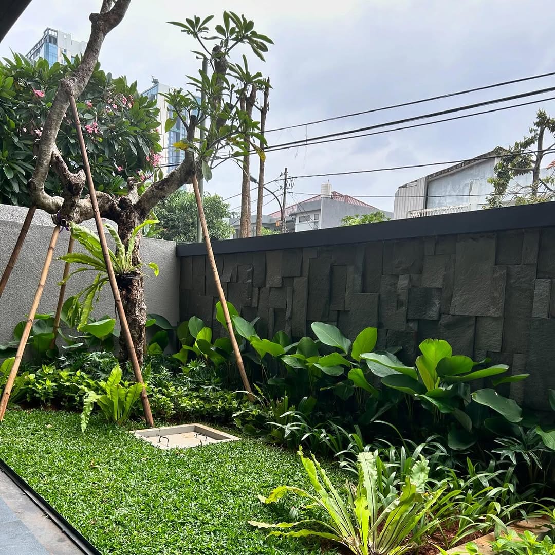 tukang taman di cilandak murah & bergaransi