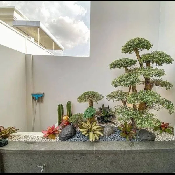 tukang taman di cilandak murah & bergaransi
