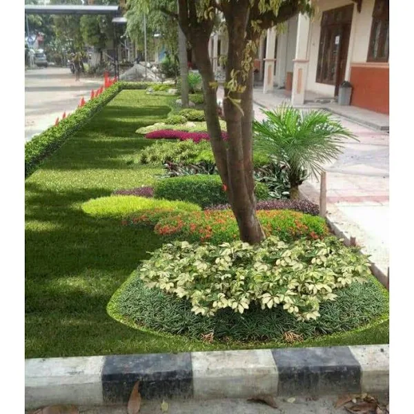 tukang taman kebayoran baru murah & bergaransi