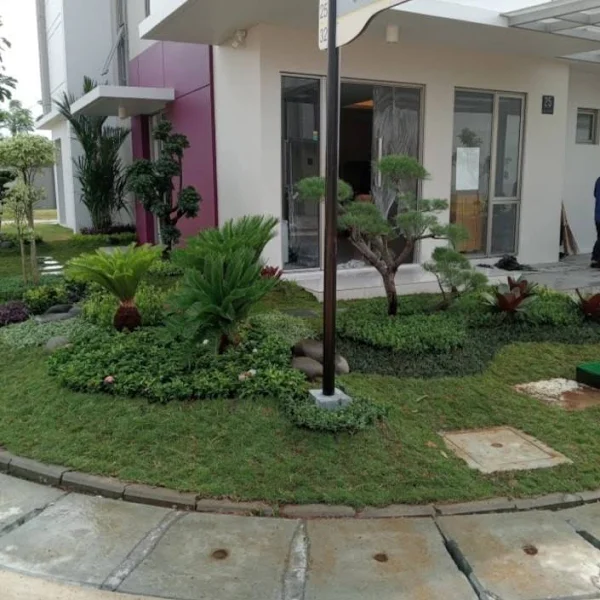 tukang taman di kebayoran lama terpercaya & handal