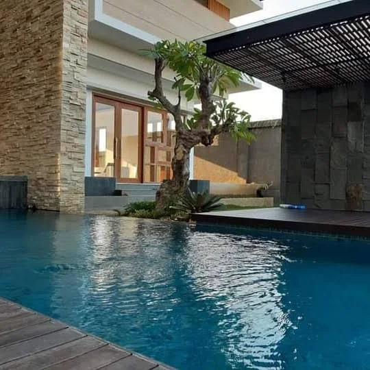 jual pohon kamboja fosil