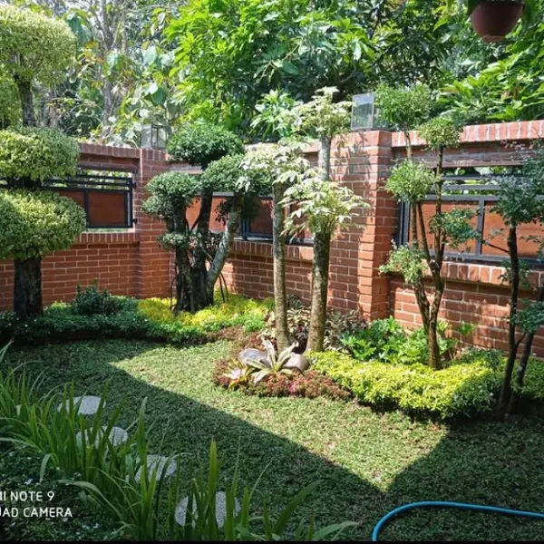 tukang taman kebayoran baru murah & bergaransi