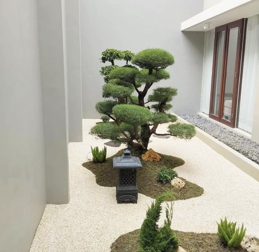 tukang taman gaya jepang elegan & minimalis